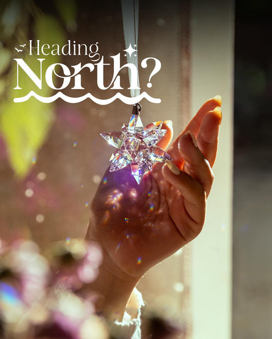 North Star - Rose